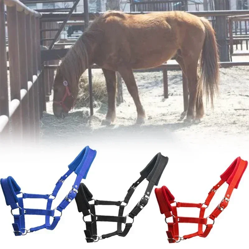 1Pc Soft Padded Pony Horse Halter Bridle Headstall Head Collar Horse Riding Accessories Ergonomic Comfortable Unfettered Halters