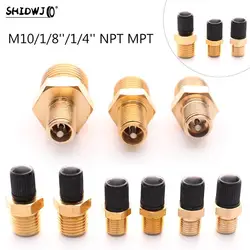 New 2pcs M10/1/8''/1/4'' NPT MPT Brass Air Compressor Tank Fill Valve Double Head Standard Valve Core Auto Car Tire Valves