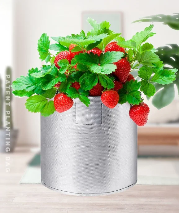 Potato Grow Bag with and without Viewing Window, 2/5/7/10 Gallon Sliver Durable Oxford Planter Bag with Handles for Easy Harve