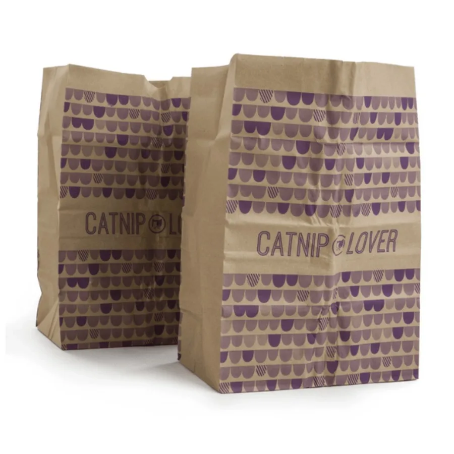 

SmartyKat Catnip Caves Paper Bag Cat Toys Scratch Activated Catnip Scent 2 count