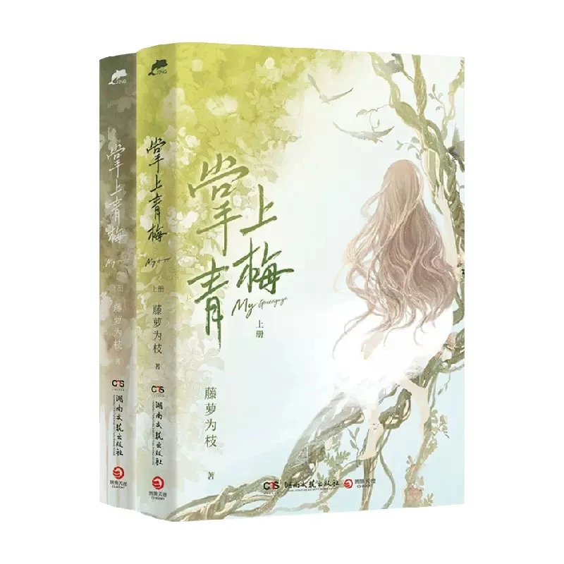 2 Books/Set My Greengage Original Novel Volume 1+2 Youth Literature Qin Xiao, Su Ling Chinese BG Fiction Book images - 6