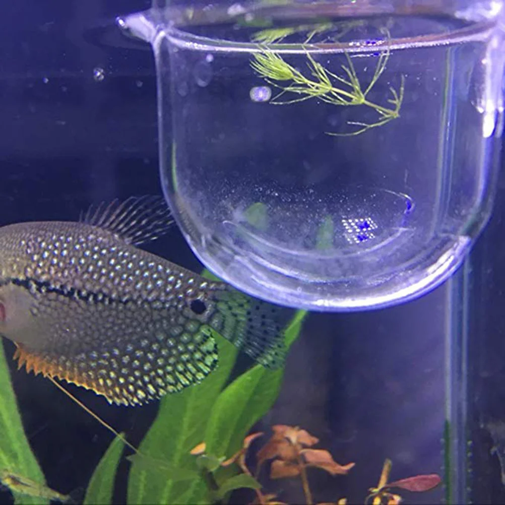 

2Pcs Glass Feeding Cup Fish Feeder Durable Clear Aquarium Feeder for Brine Shrimp Eggs Red Worms Food Glass Feeding Cup