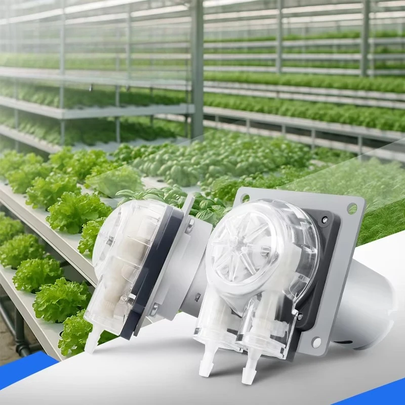 Low Noise 12V 24v Dc Motor 280ml/min ph Doser Micro Peristaltic Pump for Hydroponics System Liquid Fertilizer Transfer