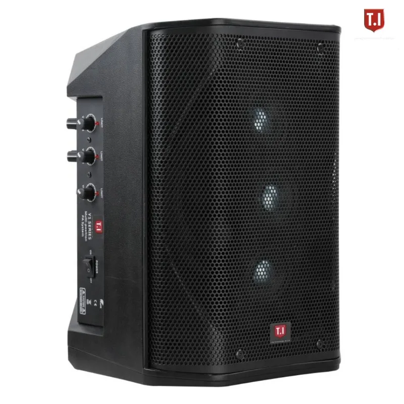 6.5 Inch Active Speaker Box with strong sound output, portable audio equipment for party and indoor entertainment use