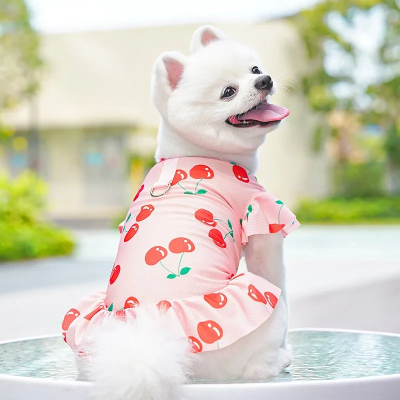 

Sweet Pet Dress Ice Silk Dog Clothes Pet Summer Pullover Yorkshire Breathable Mesh Short Dress with Leash Buckle