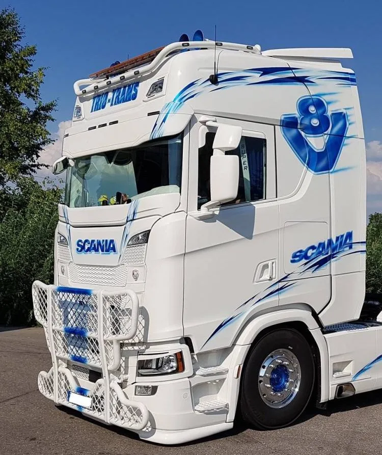 1/14 Windschutzscheibenschutz für Tamiya RC Traktor-LKW Scania 770S 56368 RC Traktor-LKW-Modell DIY Dekorative Modifizierte Teile – Detail 13
