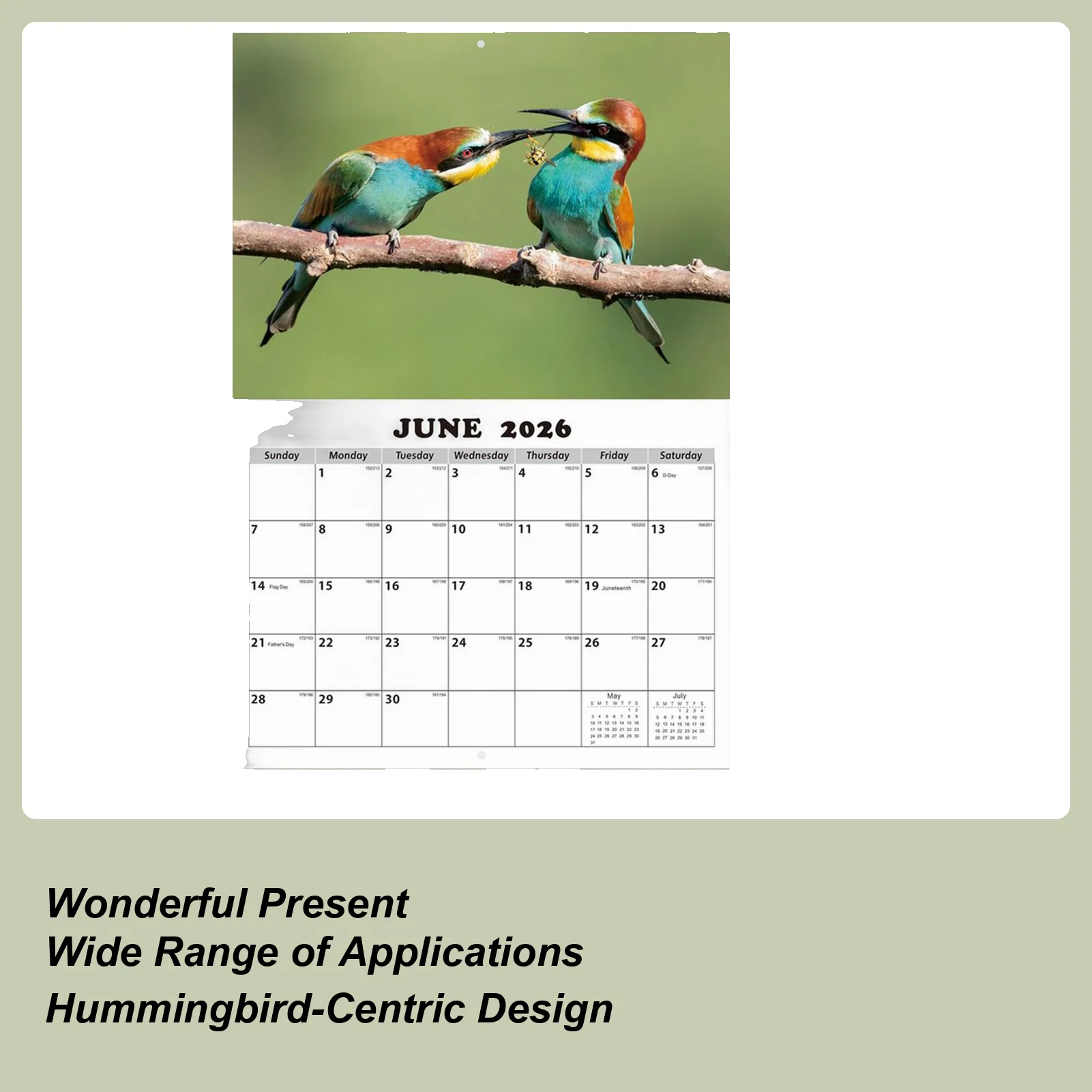 

Hummingbird Calendar 2026 Hummingbird Monthly Calendar Jan 2026 Jan 2027 Wall Planner for Nature Enthusiasts Bird Lovers