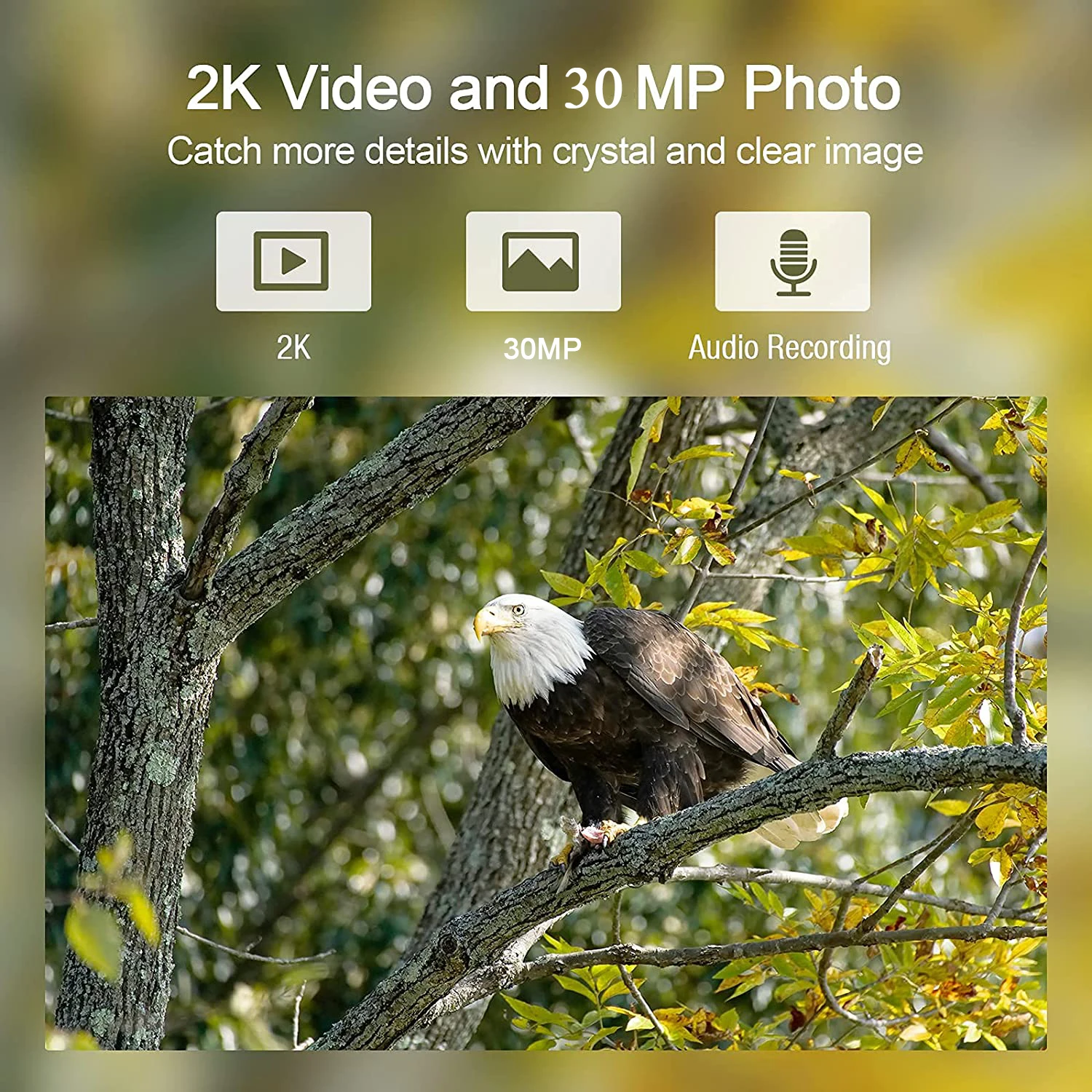 APP Trail Kamera Cloud Service 4G Jagd Kameras HC801PRO-LI Mit 5000Mah Ladegerät Batterie 30MP 4K Nachtsicht foto Fallen – Detail 7