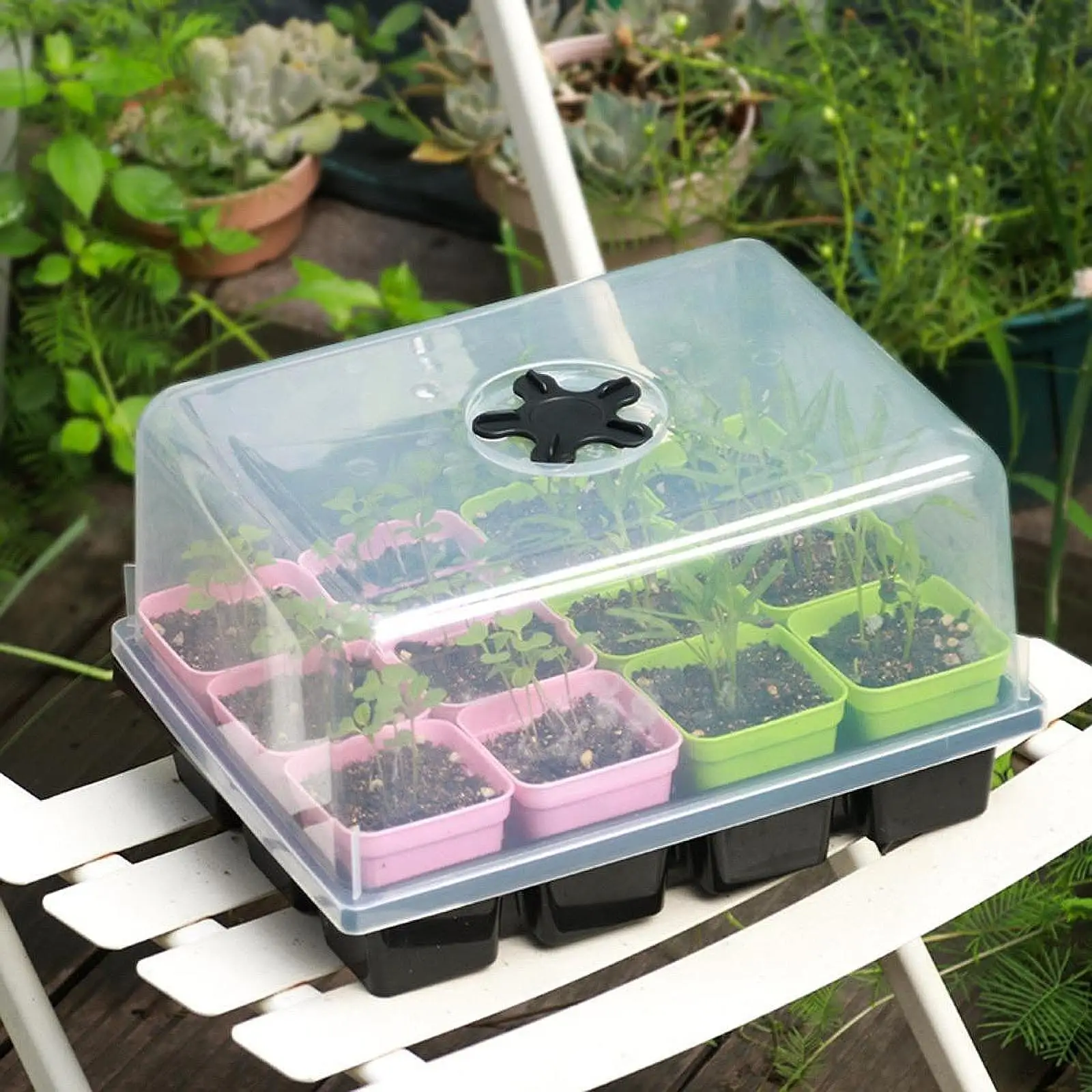 

Seed Starter Tray 12 Cells Sturdy Growing Tray for Seedling Hydroponic Soil