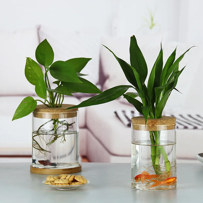 insTrendy Creative Natural Wood Vase Transparent Glass Living Room Flower Arrangement Ornament Hydroponic Green Radish Desktop E
