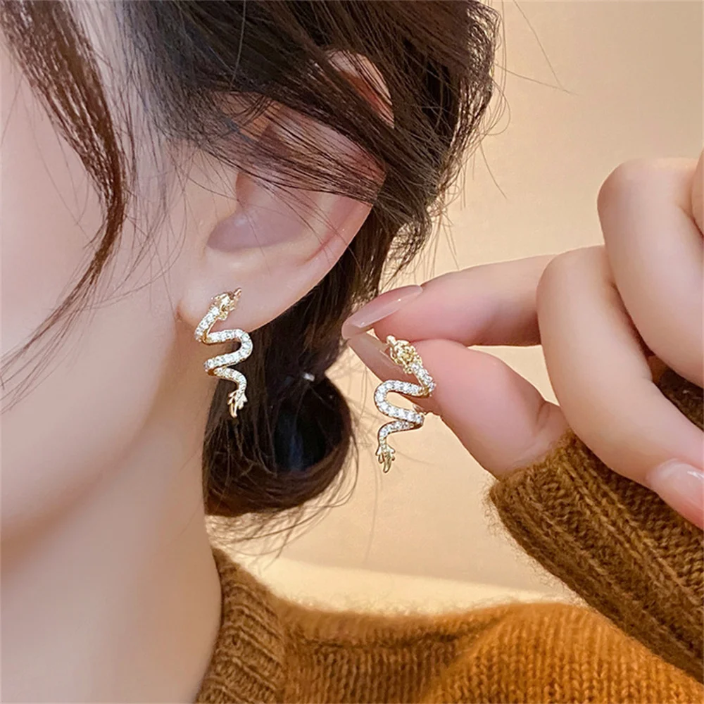 Mini Chinese Dragon Ear Studs Earrings Women Stainless Steel Gold Silver Dripped Oil Zircon Vintage Jewelry New Yeare Gift