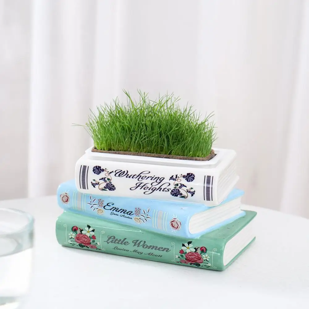 Vilead Small Ceramic Book-Shaped Planter with hole Cute Bookshelf Decor Home Desk Decoration Accessories Office Living Room Pop