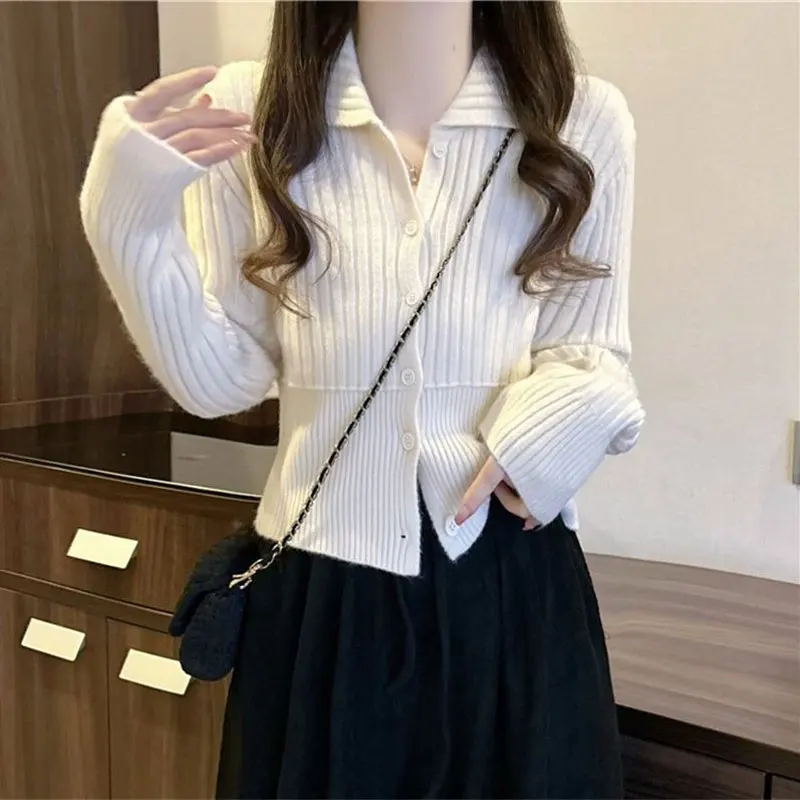 

Korean Slim Knitted Pullovers Women's Clothing Solid Color Basic Spring Autumn Single-breasted Chic Commute Long Sleeve T-shirt