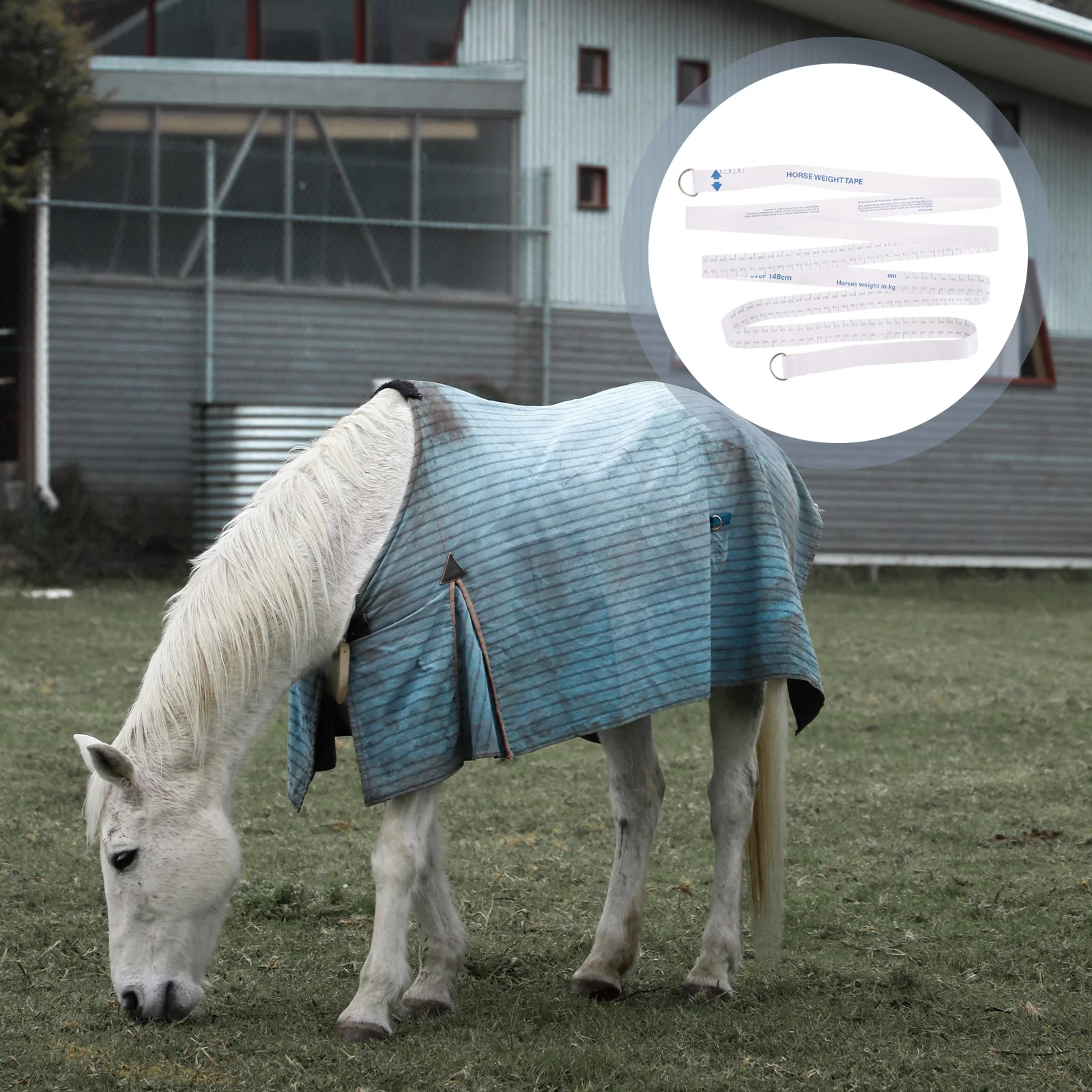 Convenient Horse Weight Tape Measure Soft Flexible Dual Sided Size Chart Design and Other Livestock