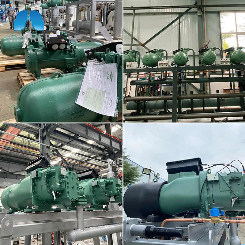 20 Years Bitzer Compressor Distributor CSH7563-80-38P Bitzer Screw Compressor