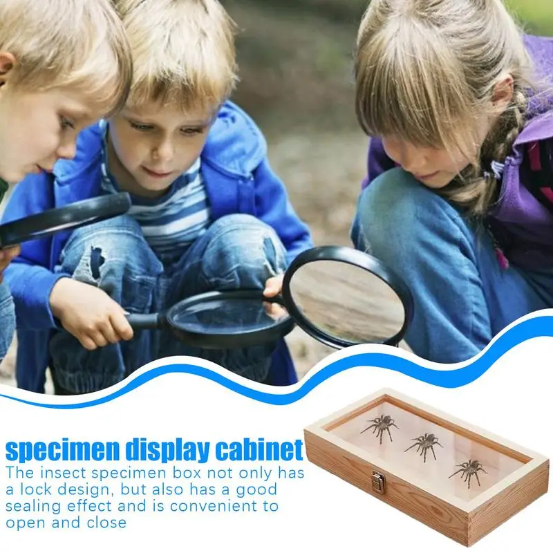 

Wooden Jewelry Box Butterfly Frame Case Earrings Rings Necklaces Organizer Holder Display Case Specimen Showcase With Lid For