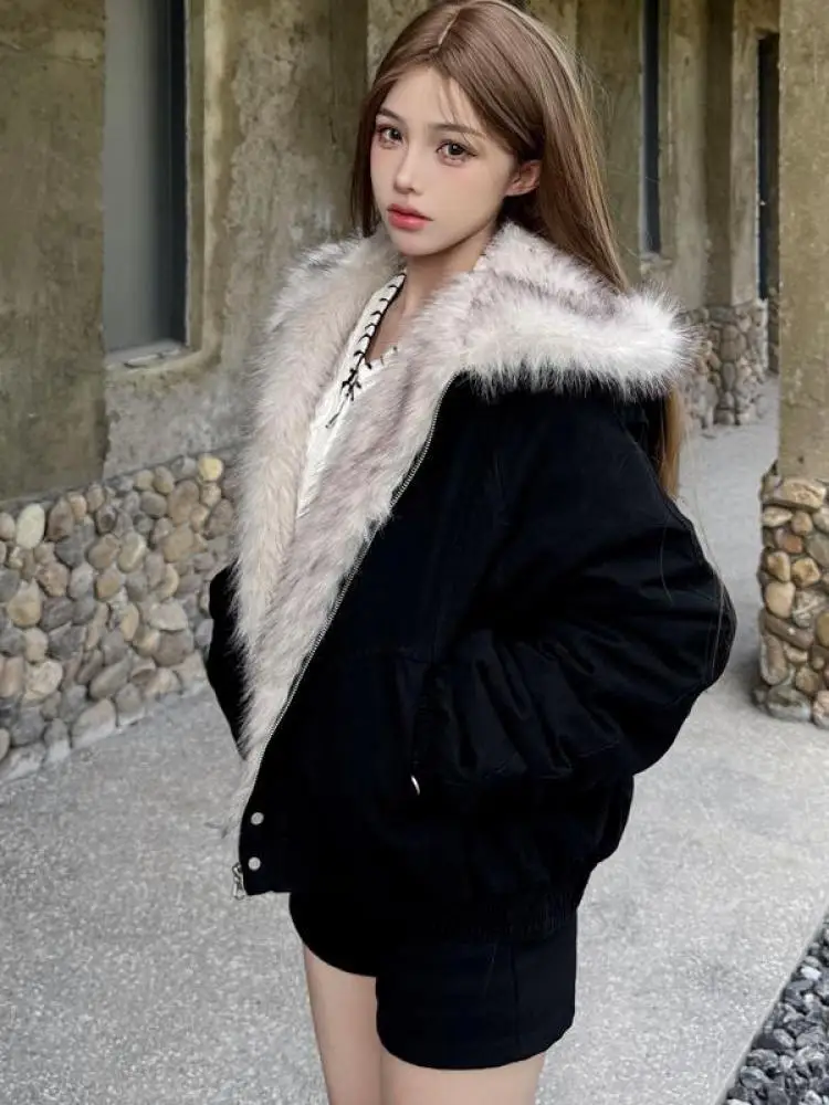 Coréen 2025 nouveau hiver noir à manches longues coton fermeture éclair en peluche veste femmes gris à capuche court Parkas chaud manteau décontracté Streetwear