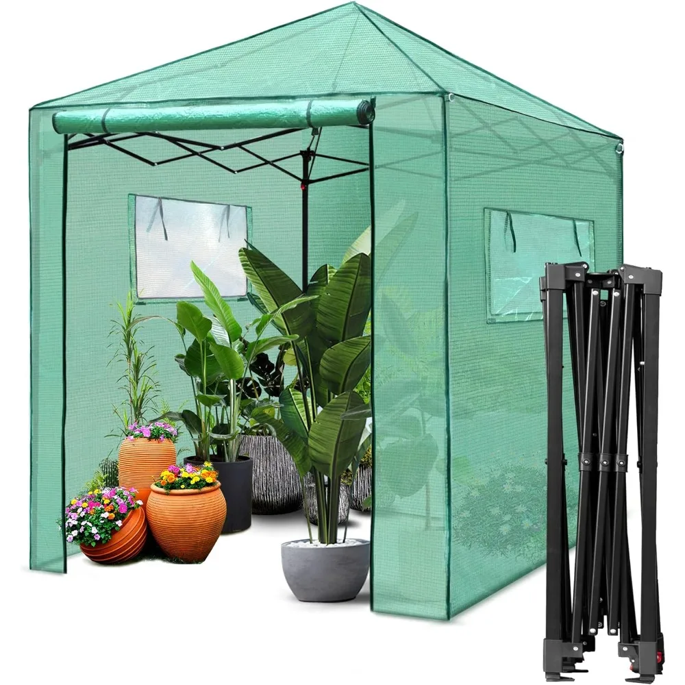 6'x 5' Portable Walk-in Greenhouse Easy Setup,Indoor Outdoor Greenhouse Garden Green Houses Instant Pop-up Greenhouse,2 R