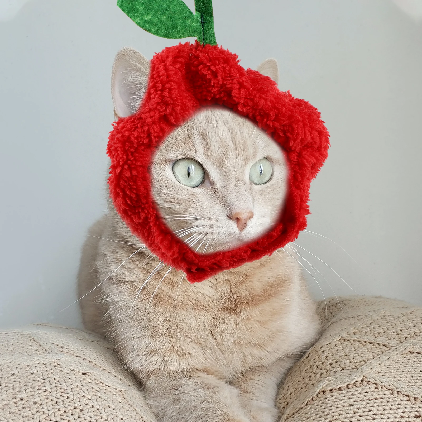 

4 Pcs Pet Hood Dog Cosplay Hat Cat Costume Puppy Hats Bright Colors Sweet Comfortable Fashionable Adorable for Dogs