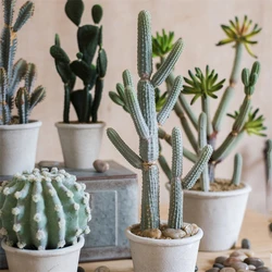 Simulated Cactus Bonsai Series Decoration Multi frumenti Cactus Pillar Cactus Small Variety Nordic Style Desktop Living Room