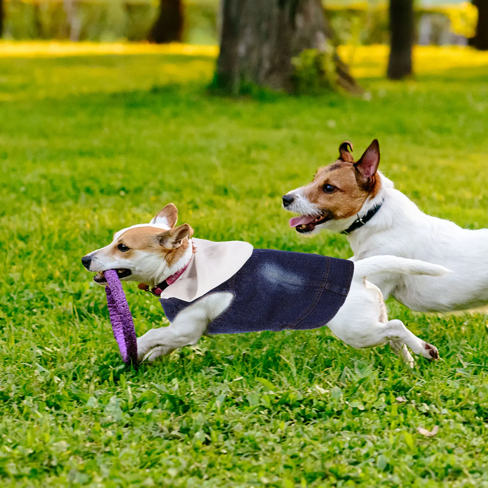 

Pet Vest Four Seasons Clothes Dog Hoodie Jean Hat Autumn Denim Sweaters Summer Chihuahua Jacket Supplies Knitted Retro Lapel