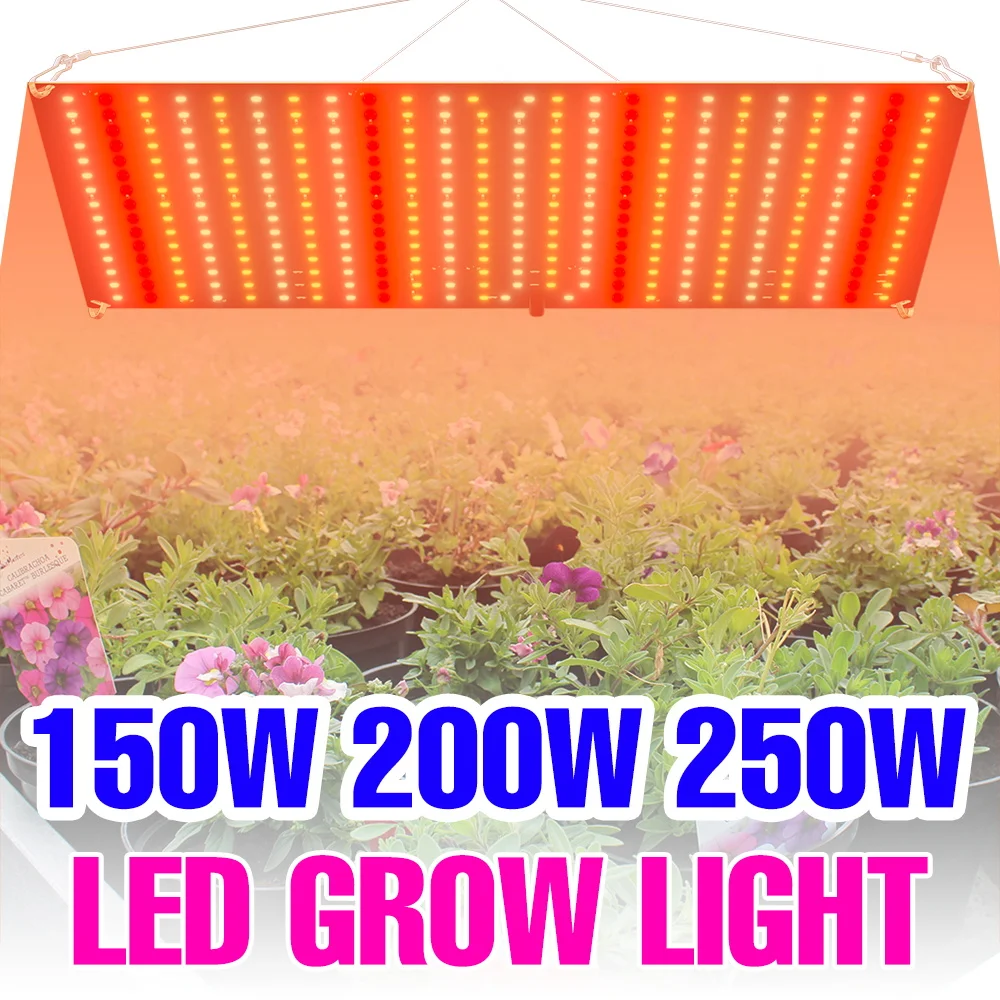 

250W LED Grow Lights Full Spectrum Indoor Quantum Board Plant Cultivation Lamp UV/IR Greenhouse Fruit Vegs Growth Box US/EU Plug