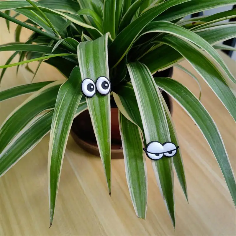 Olhos magnéticos para decoração, Ímã, Material à prova de água, Simples e durável, Peso leve, Lovely Plants, Unique Gift Eye inseto