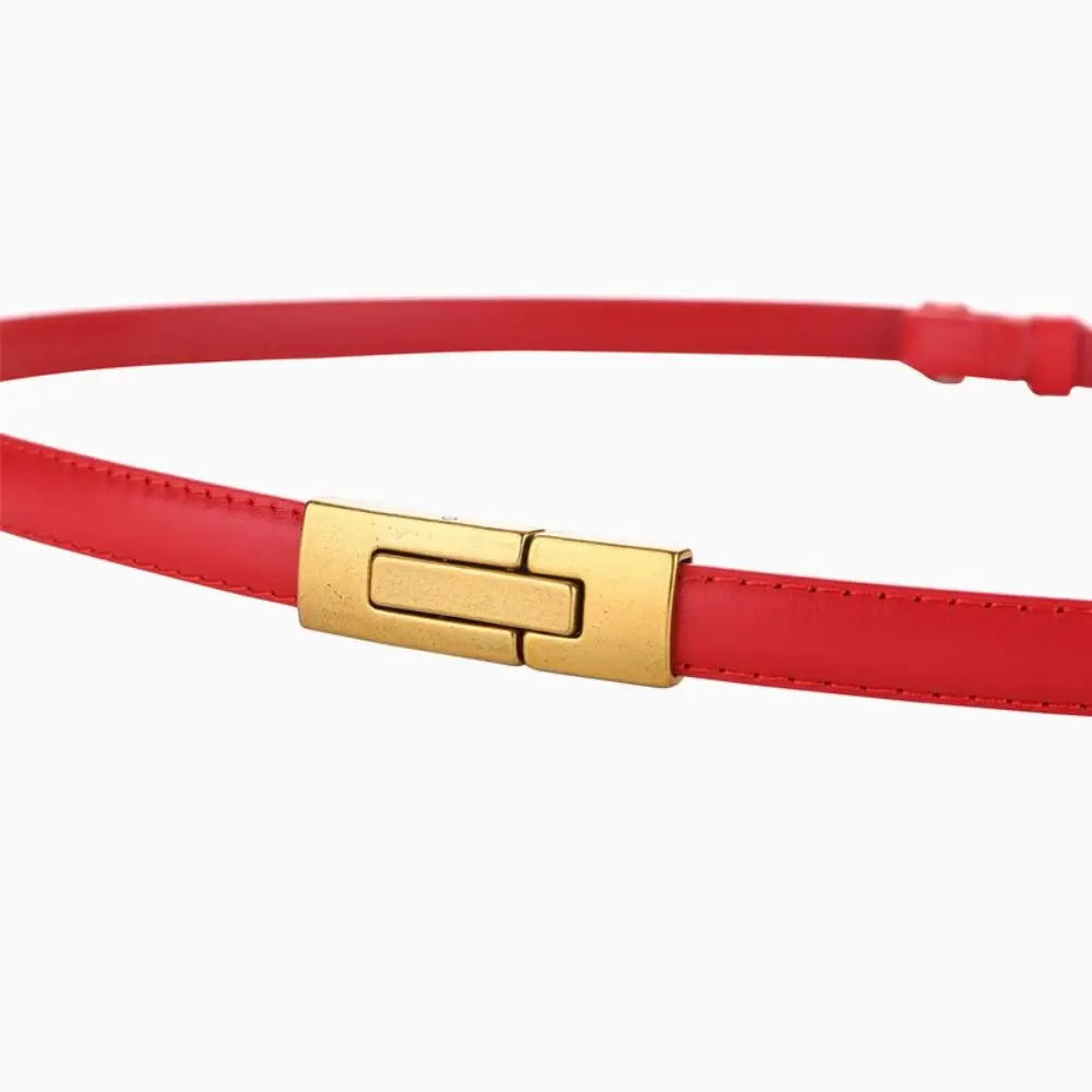 حزام جلد طبيعي مع مشبك معدني للنساء ، حزام الخصر ، جلد البقر ، تنوعا ، تصميم فاخر ، الموضة