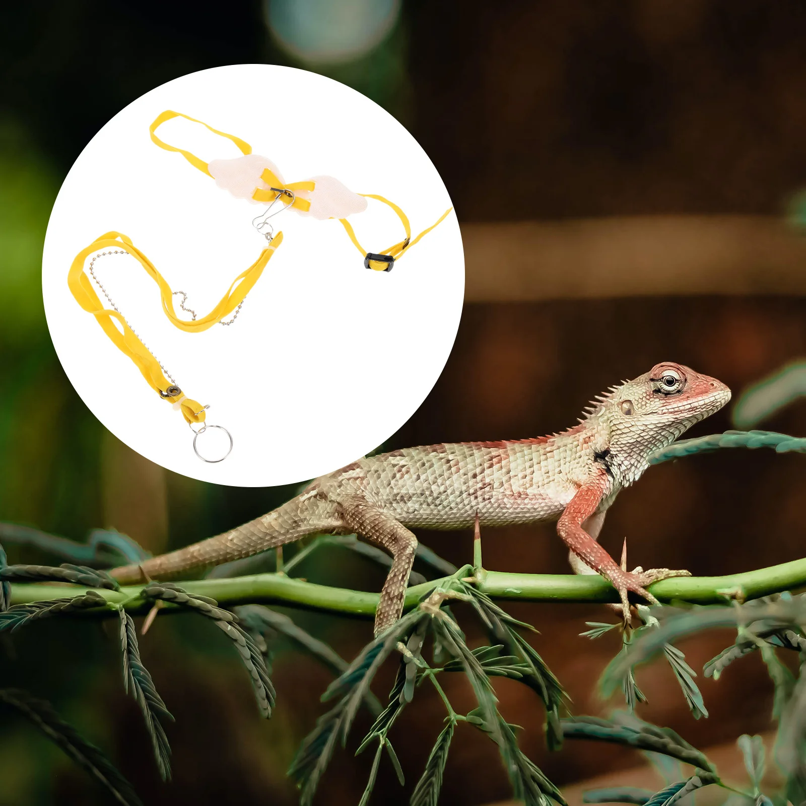 

Lizard Traction Rope Premium Nylon Material Exquisite Workmanship Reptiles Hauling Easy Use Small Pet Walking Leash