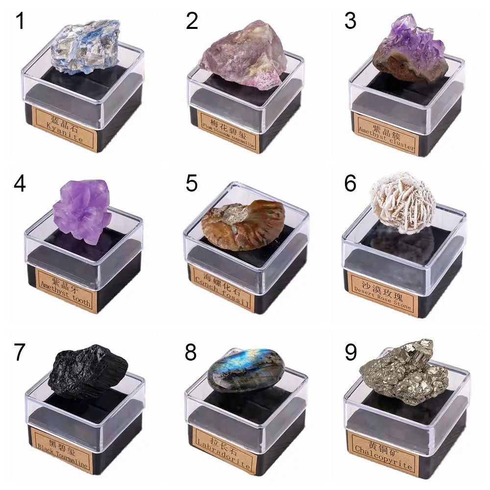 Multicolor Natural Mineral Specimen Geography Teaching Irregular Shape Crystal Ore Box Rough Gemstone Jewelry Making