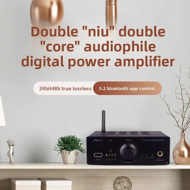 5.2 bluetooth lossless hi-fi audiophile amplifier, home digital high-power desktop room high-fidelity headphone amplifier