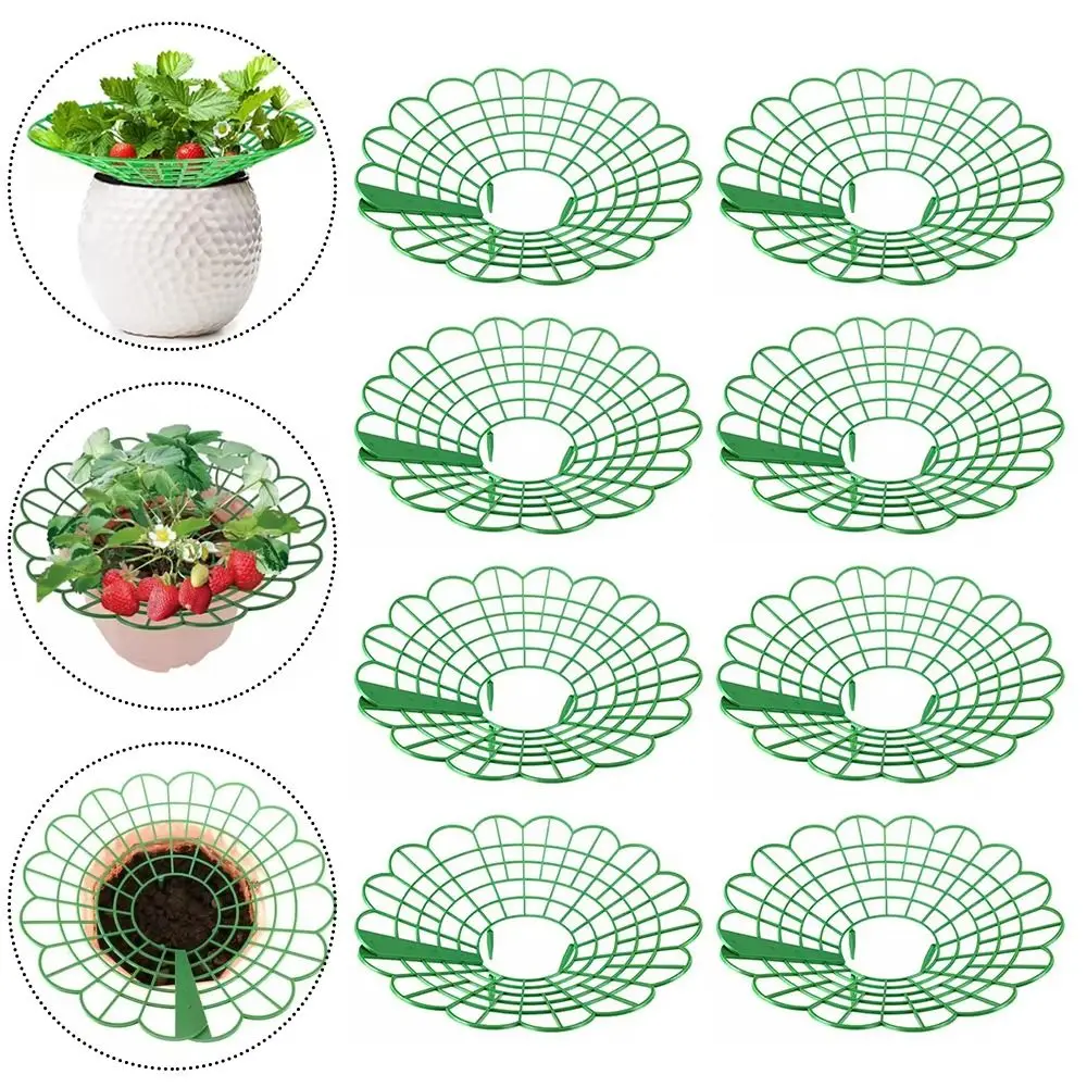 

1/3Pcs Round Strawberry Stand Anti-corrosion Anti-ground Plant Tray Stand with Three Sturdy Legs Strawberry Cradle Support