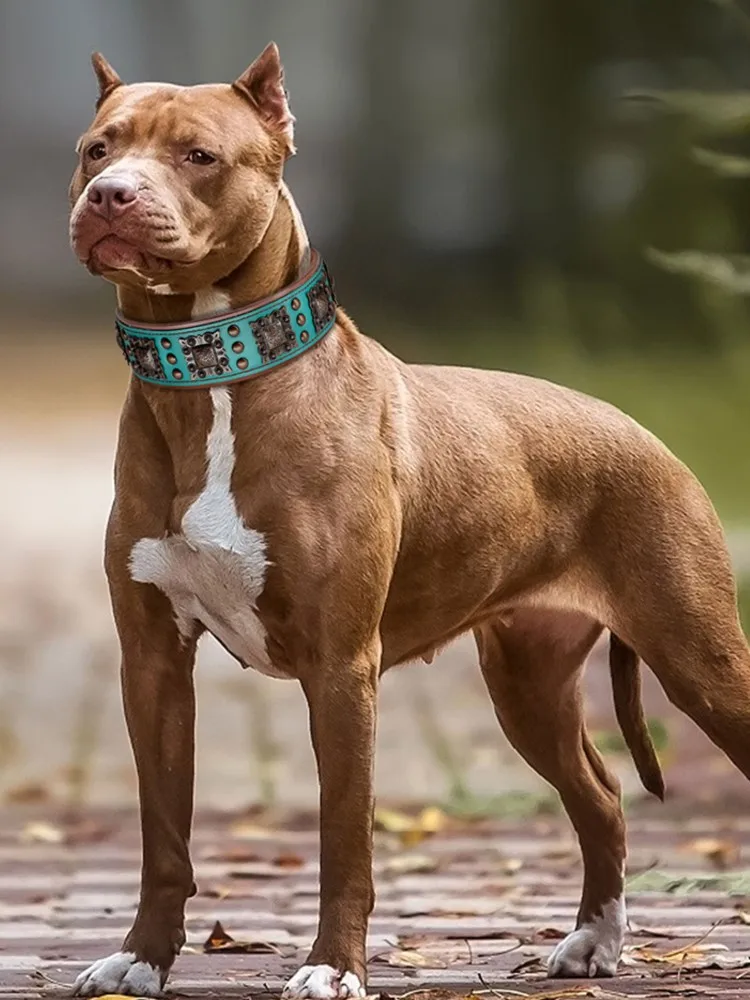 Fajna kolczasta obroża dla średnich i dużych psów prawdziwej skóry Pitbull Bulldog regulowane akcesoria dla zwierząt obroże naszyjnik — zdjęcie 2