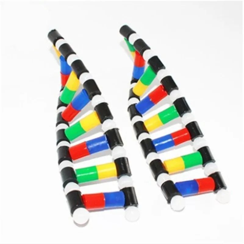 DNA Double Helix Structure Model Education Equipment