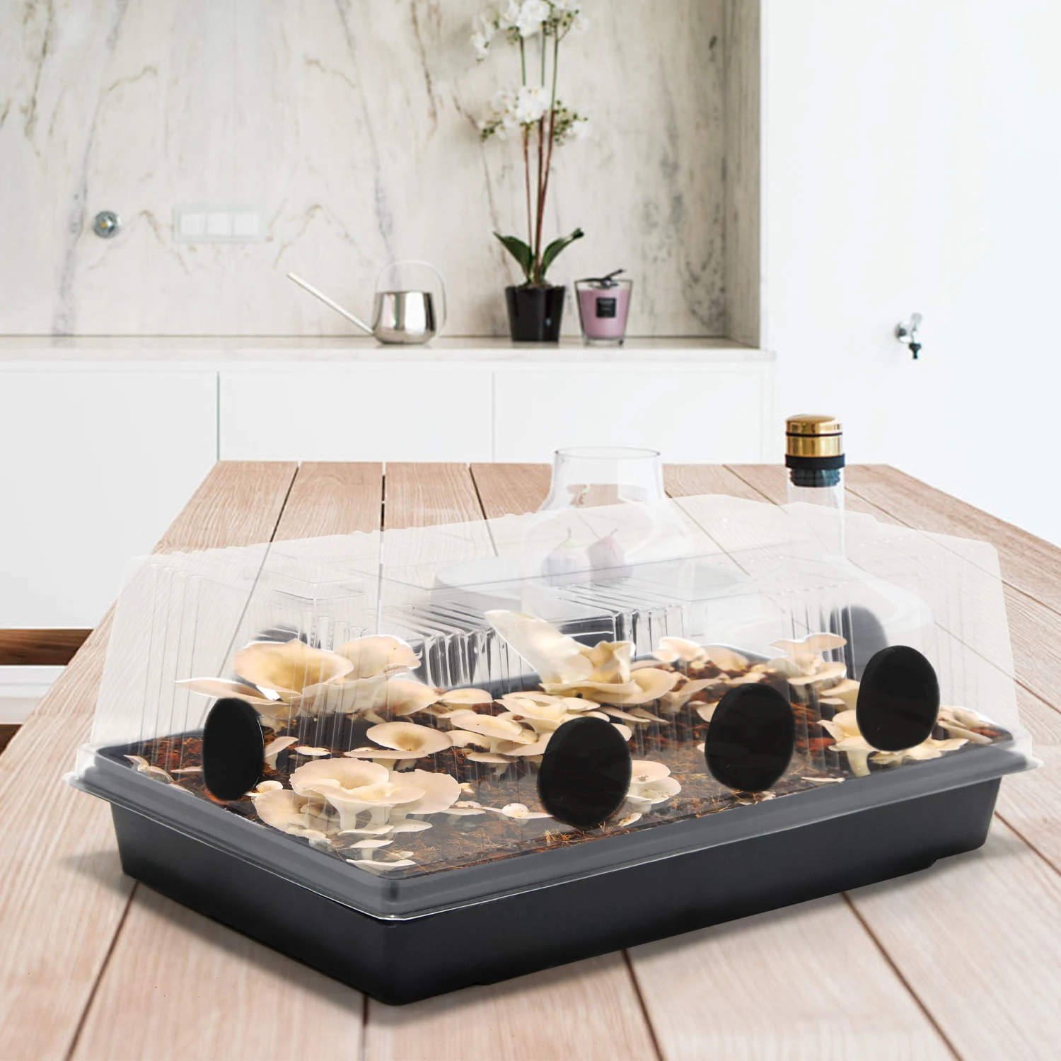 5 Pcs Low Maintenance Mushroom Grow Box Kit With 8 Air Vents And Auto Humidity For Faster Oyster Mushroom Growth