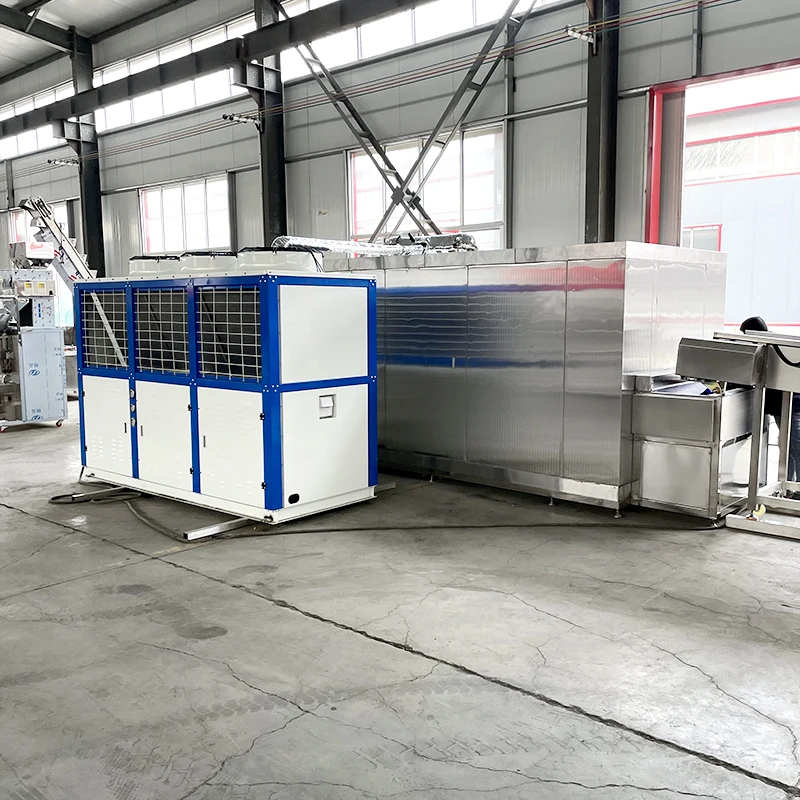 LONKIA Carliflower Broccoli Patatine Fritte Tunnel Quick Iqf Flow r