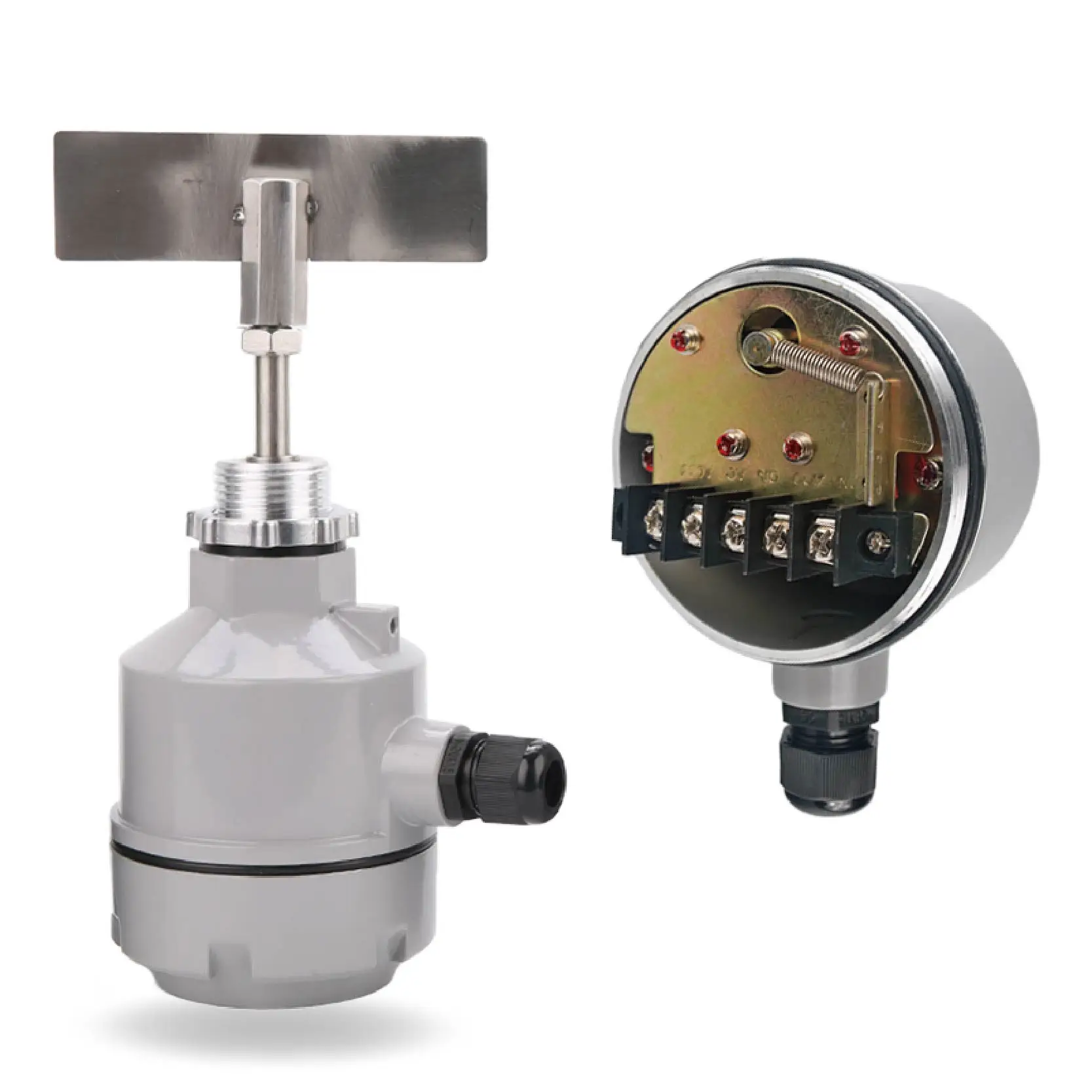 Mini Tuning Fork Level Switch Aluminum 24V/110V/220V Industrial Water Sensor for Liquid Level Control