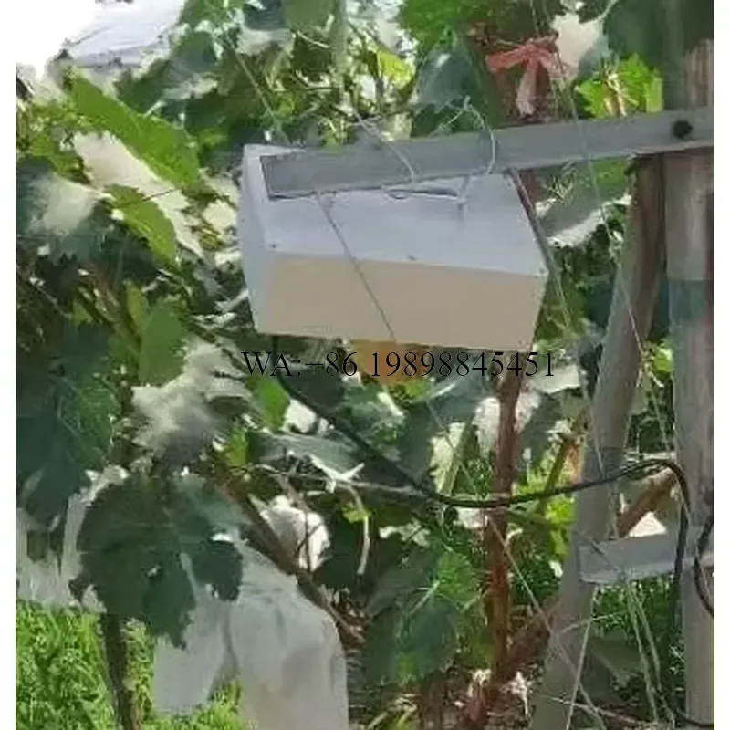 WMWMNU Wholesale Powerful Bird Repeller for Airport Fruits Farm