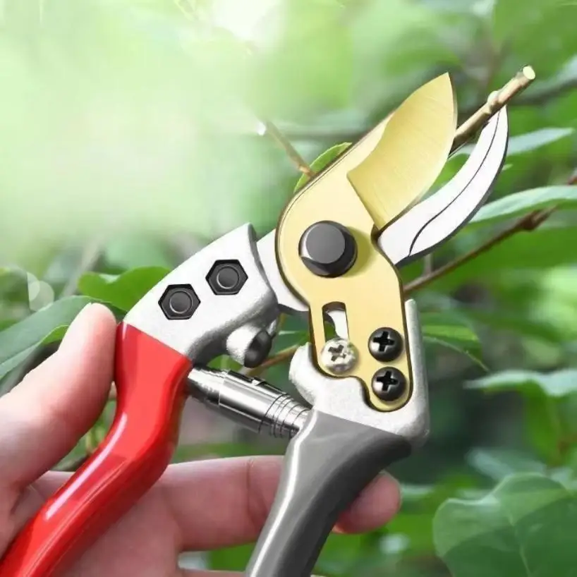 1 Pcs Horticultural Stainless Steel Scissors Fruit Tree Pruning Flower Arrangement Pruning Pruning Garden Tools