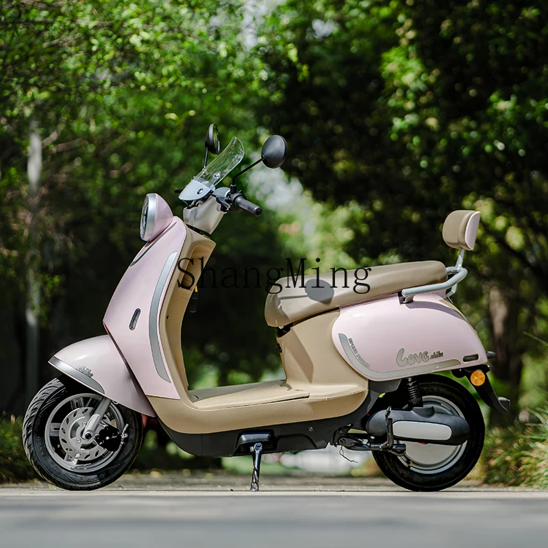 CL 新しい電動バイク男性と女性のバッテリー車長いバッテリー寿命電動バイクは高価値を獲得することができます