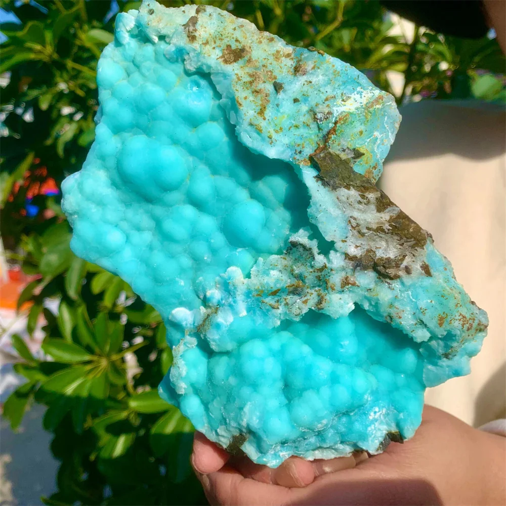 

Natural Sea Lily Stone Crystal Clusters, Energy Gemstones, Spiritual Healing, Divination Meditation, Demagnetization, Feng Shui