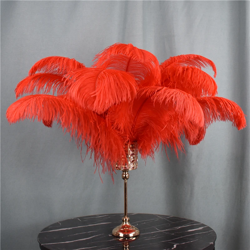 Red Ostrich Feather Plumes 15-70cm/6-28