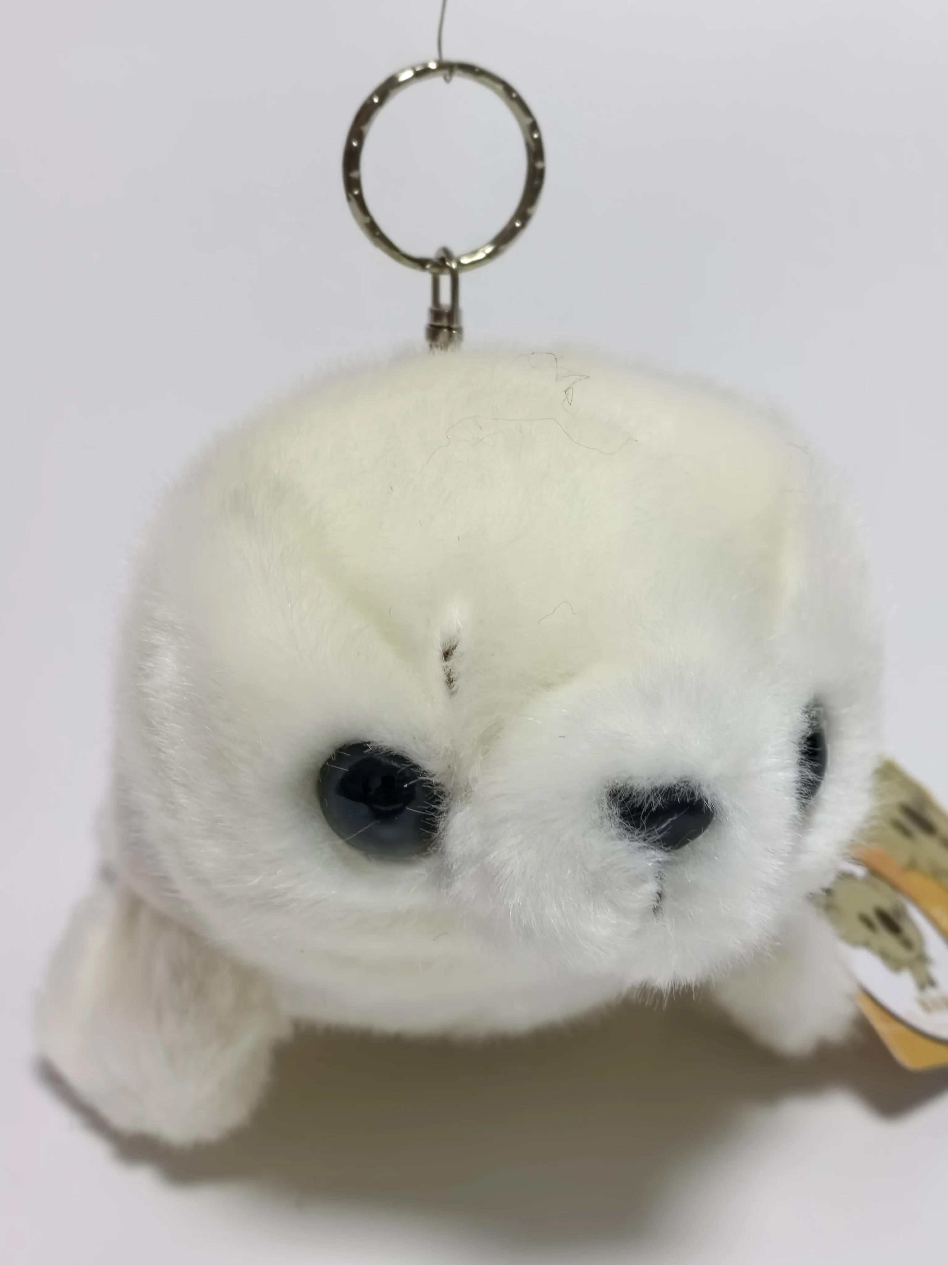 15cm Soft Sea Animal Seal farcito peluche bambola giocattoli Cute Sea Animal Dolls Sea Lion peluche regalo per bambini bambola giocattoli chiavi su