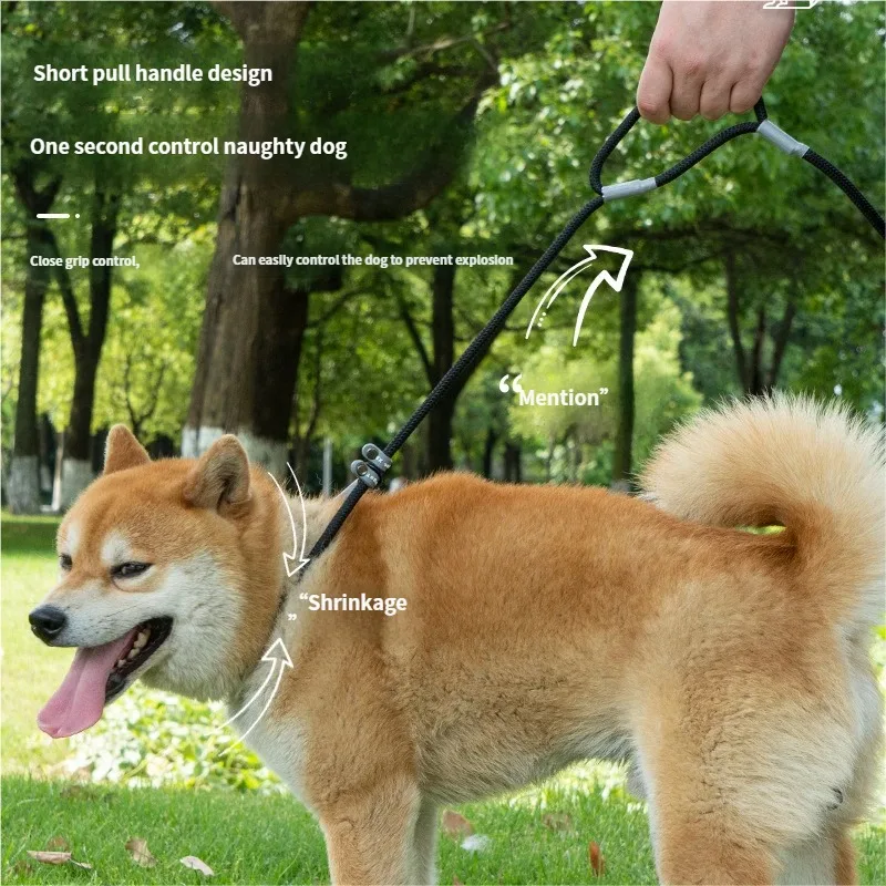 Dog Leash Anti-Pull No Choke Dog Walking Helper P Chain Extensible, Durable Pet Accessory for Easy Walks & Training