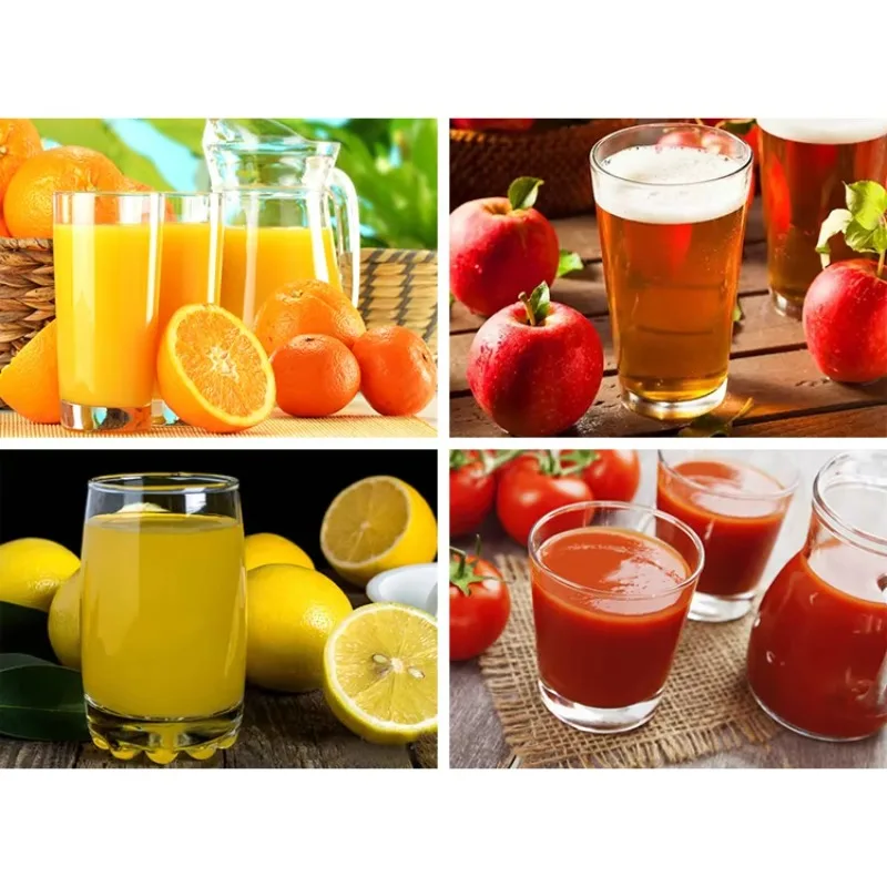 Industrial 500kg/h Passion Puree Pulp Extractor Machine Fruit Pulper 220V High Productivity for Fruit Processing Plant