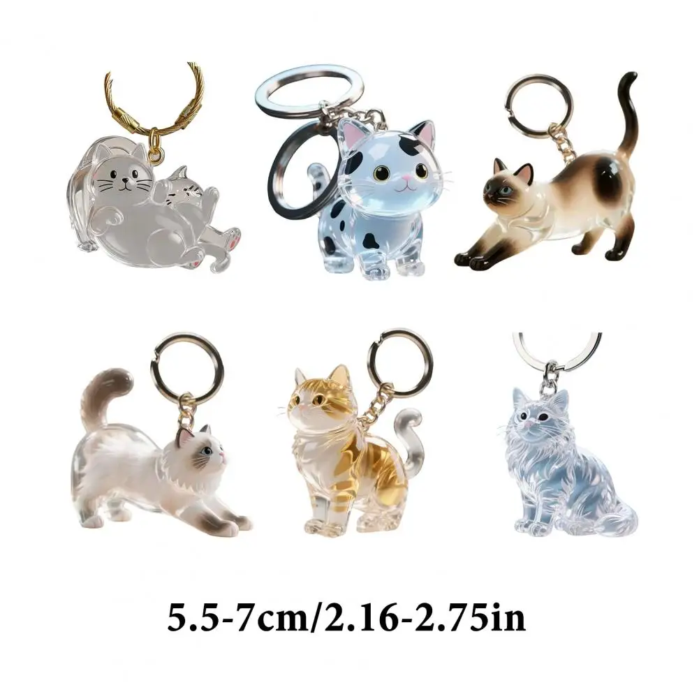 Pet Hair Keychain Transparent Cat Keychain Pendant Pet Hair Storage Box Hair Storage Bottle Key Ring Unique Pet Keepsake