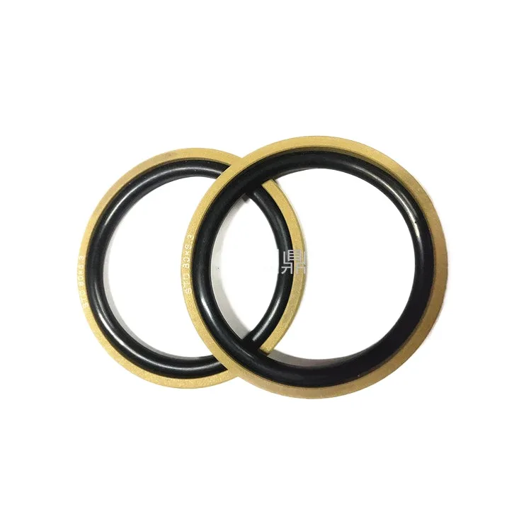 Glay ring PG oil seal for imported material hole STD50 55 56 60 63 65 70 75 80 * 4.2 6.3