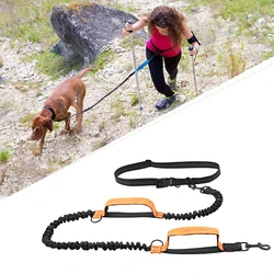 Double elastic reflective running leash portable retractable dog leash dog chain leash pet supplies wholesale