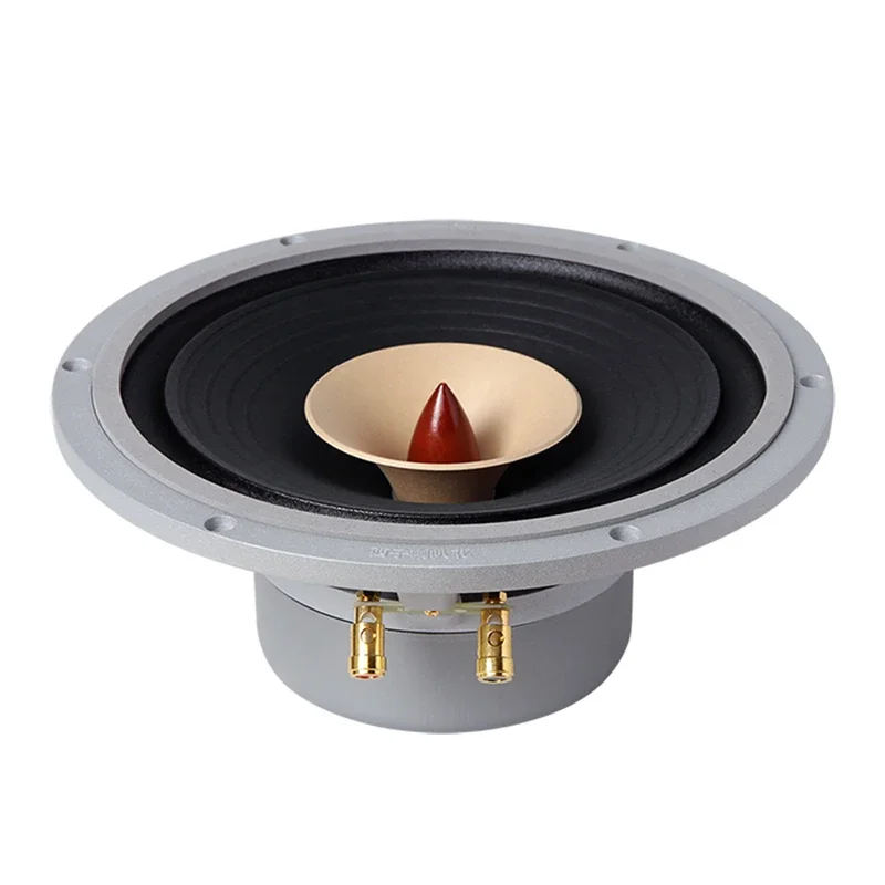 LII AUDIO HIFI FAST-10 full frequency speaker 10 inch 8ohm/40-60W unit (1PCS)