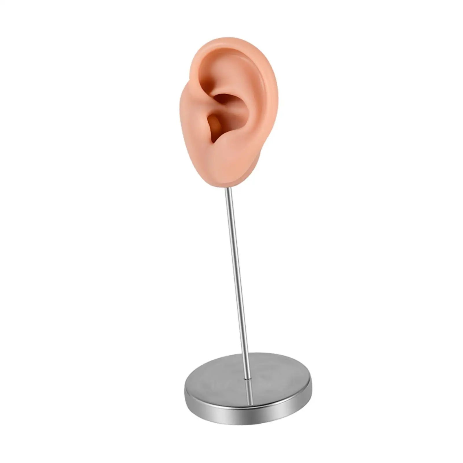 Silicone Ear Model Earring Display Stand Organizer Reusable Jewelry Rack Mannequin Ear for Instructions Photos Showcase Shows